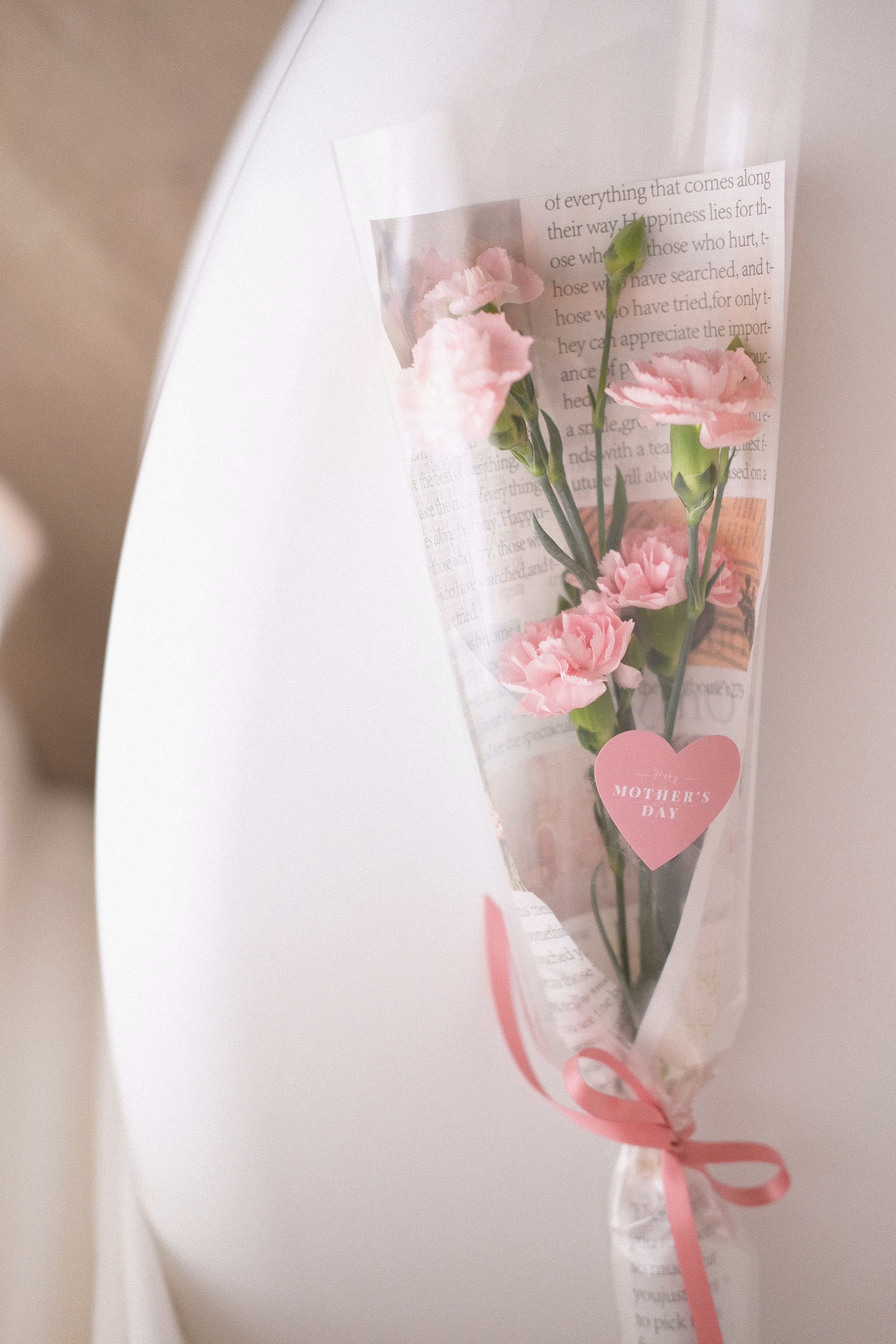 (M01)單支康乃馨花束