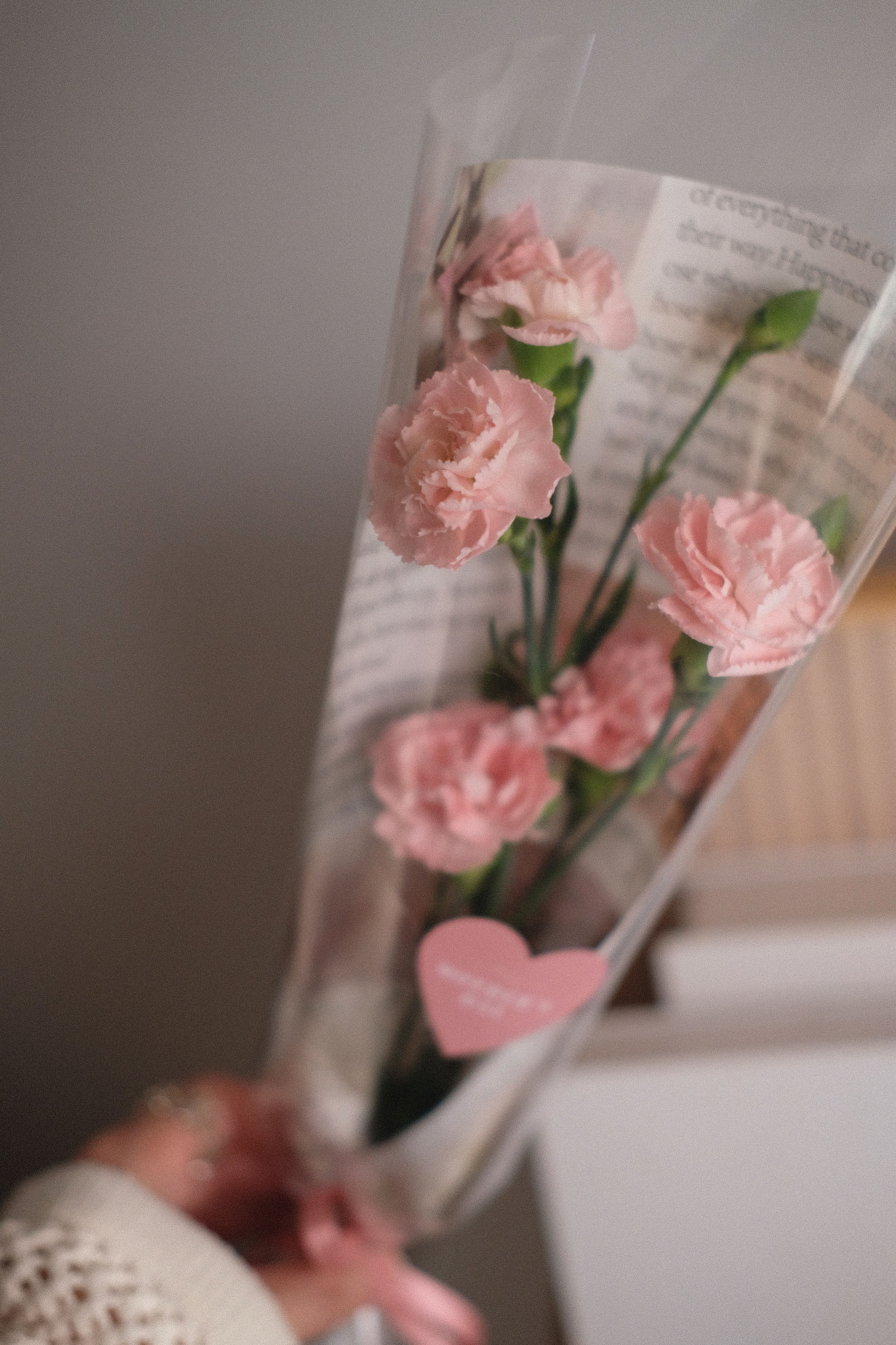 (M01)單支康乃馨花束